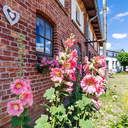 Ostsee Bauernhof Schwalbennest Ofc 15 Steffenshagen 外观 照片