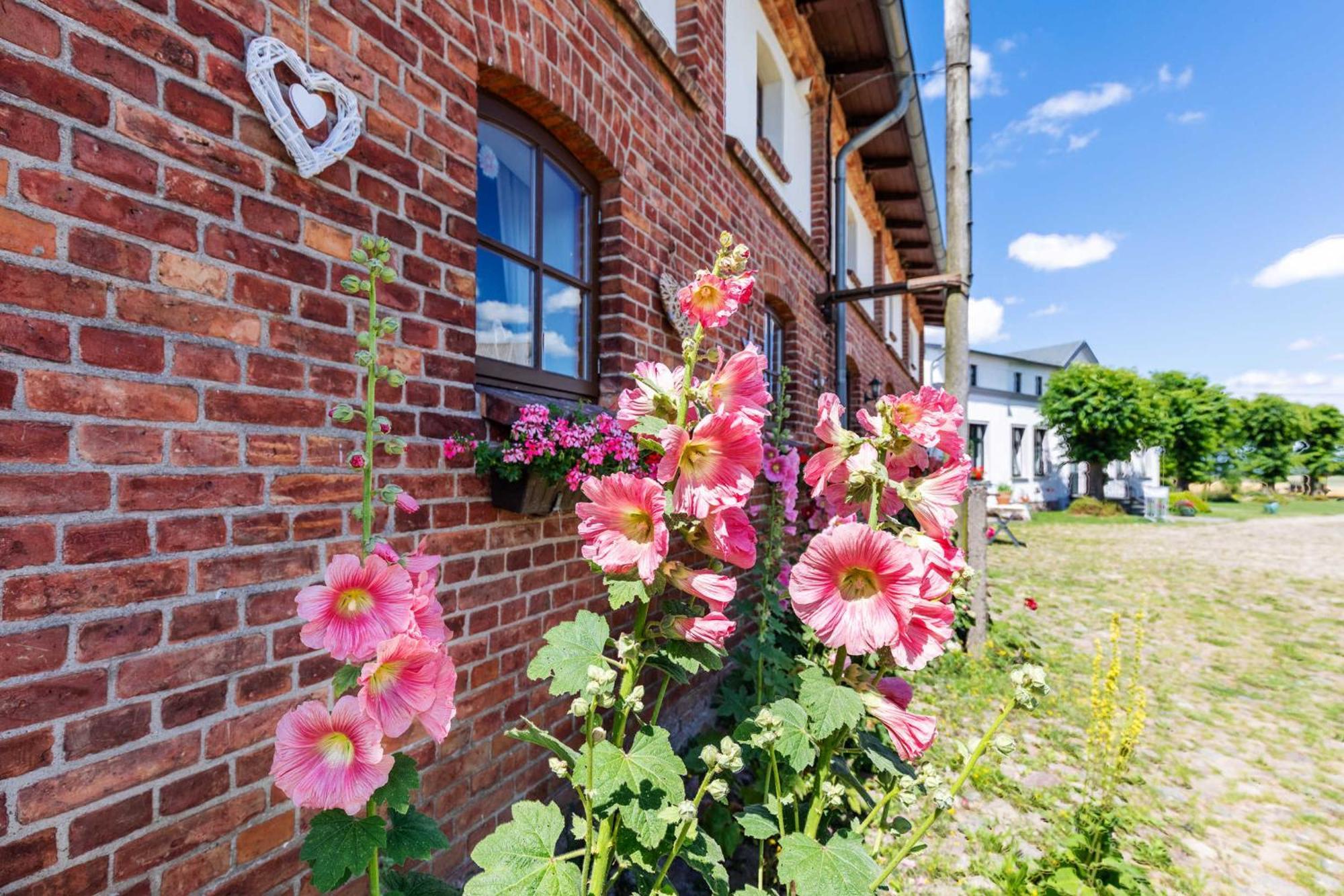 Ostsee Bauernhof Schwalbennest Ofc 15 Steffenshagen 外观 照片